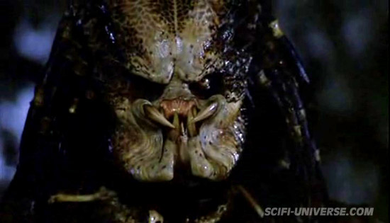 http://www.scifi-universe.com/upload/galeries/predator_13.jpg