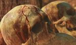 Conan Exiles, première bande annonce du jeu vidéo : Funcom prépare 2016 avec son MMORPG Conan