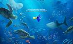 Bande annonce officielle du Monde de Dory (VF) : Le prochain Pixar en montre plus