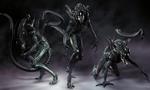 Vidéo : 10 faits à connaître sur l'Alien Xénomorphe : Une très bonne explication sur ce prédateur humain