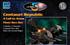 Babylon 5: A Call to Arms : Centauri Republic Fleet Box Set Figurines Boîte de jeu - Mongoose Publishing