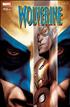 Wolverine - 153 