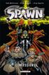 Spawn Volumes 8. Confessions 