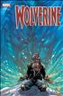 Wolverine - 132 