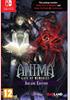 Anima : Gate of Memories - Arcane Edition - Switch Cartouche de jeu - BadLand Games