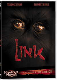 Link