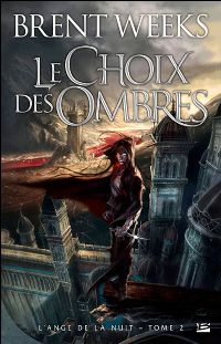 Le Choix des Ombres