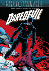 100% Marvel : Daredevil 22 Shadowland