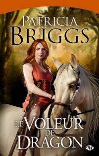 Le voleur de dragon : voleur de dragon