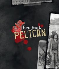 Project : PELICAN 2ème édition : Ecran du MJ