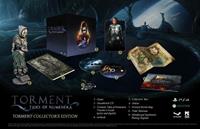 Torment: Tides of Numenera - Edition Collector -  PC