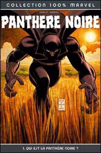 Qui est la  Panthère Noire : 100% Marvel : La panthère noire T1