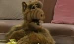 Alf 1x02 ● La nuit tous les Alf sont gris