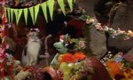 Fraggle Rock 3x11 ● The Beanbarrow, The Burden, and The Bright Bouquet Fraggle Rock 3x11 ● The Beanbarrow, The Burden, and The Bright Bouquet