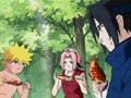 Naruto 1x35 ● Interdit de regarder !