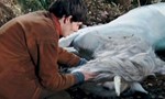 Merlin 1x11 ● Le labyrinthe