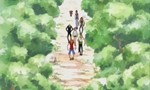 One Piece 8x06 ● Zenny de l'île des chèvres ! Un bateau pirate dans la montagne !