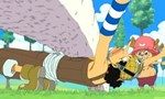 One Piece 10x12 ● Il surgit du ciel ! Escrimeur, gentleman et fredonneur à ses heures !