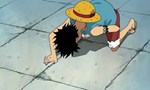 One Piece 13x33 ● Des nouvelles de l'équipage. Le poussin géant et une bataille rose.