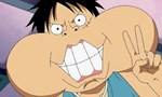 One Piece 13x35 ● Des nouvelles de l'équipage. Une gigantesque sépulture et la dette des sous-vêtements.