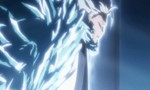 Bleach 14x09 ● Hitsugaya, les funérailles des 1000 fleurs du paradis de glace !