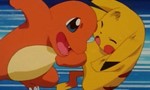 Pokémon 1x81 ● Amis ou ennemis?