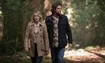 Supernatural 14x05 ● La Logique du cauchemar