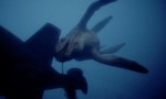 Nick Cutter et les portes du temps 5x02 ● Anomalie sous-marine