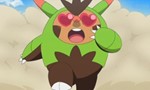 Pokémon 17x02 ● Love Strikes! Eevee, Yikes