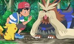 Pokémon 18x32 ● Chasse au trésor à Akala !