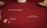 Minuscule : La Vie privée des insectes 2x57 ● La mouche magique
