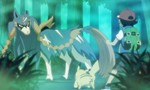 Pokémon 19x42 ● Épée et Bouclier : la forêt de Sleepwood !