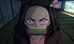 Demon Slayer : Kimetsu no Yaiba 1x23 ● La Réunion des piliers