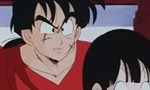 Dragon Ball 6x09 ● Tous pour un, un pour tous