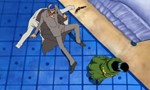 One Piece 11x57 ● Tout pour un compagnon ! Robin dans les ténébres !