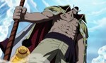 One Piece 13x85 ● La troupe du Chapeau de Paille arrive - Le champ de bataille devient plus intense