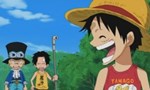 One Piece 14x15 ● Un jour, nous prendrons la mer! La coupe de la fraternité des trois gamins!