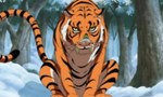 One Piece 14x18 ● La lutte contre le gros tigre ! Qui sera le capitaine ?