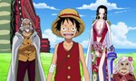 One Piece 14x35 ● L'entrainement de Luffy commence - A dans Deux Ans au point de Rendez-vous