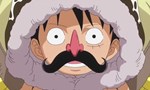 One Piece 15x04 ● Rassemblement général ! la menace des Faux Chapeaux de Paille !