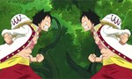 One Piece 19x12 ● Une forêt sucrée. Luffy contre Luffy !
