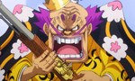 One Piece 21x49 ● La Colère de Zoro. La Vérité sur les Smiles !