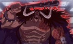 One Piece 21x61 ● Tensions à Onigashima. Les deux empereurs face à face !
