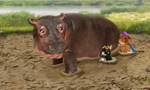 Les Wonder choux dans la grande ville 1x04 ● Sauvons le petit hérisson ! / Sauvons l'hippopotame ! Les Wonder choux dans la grande ville 1x04 ● Sauvons le petit hérisson ! / Sauvons l'hippopotame !