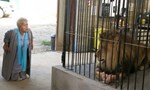 Joséphine, ange gardien 15x04 ● Tous au zoo