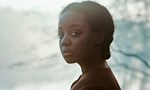 The Underground Railroad 1x01 ● Chapitre 1 : Géorgie The Underground Railroad 1x01 ● Chapitre 1 : Géorgie