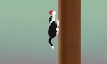Looney Tunes Cartoons 2x05 ● Poteau téléphonique qui rétrécit