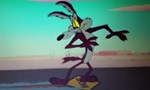 Looney Tunes Cartoons 2x27 ● Vif Coyote