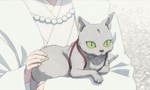MAO 1x17 ● Le Mao gui MAO 1x17 ● Le Mao gui