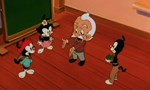 Animaniacs 1x05 ● Des gâteaux pour Einstein
